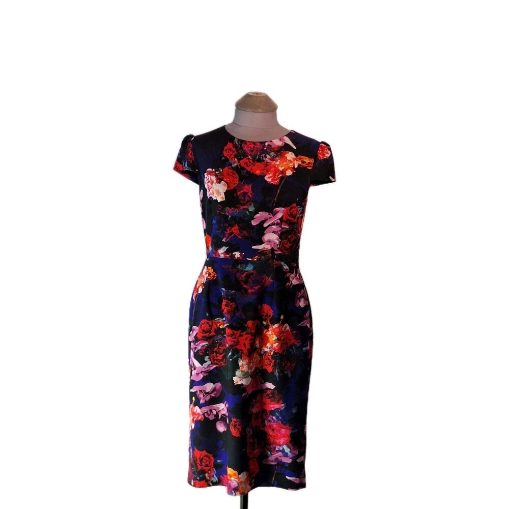 Betsey Johnson Size 6 Multicolored Floral Dress